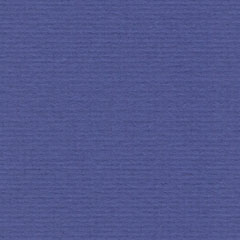 Org-31 irisblauw *