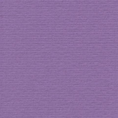 Natgevilte lap 6 1212 392 violet