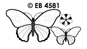 EB4581 T/G