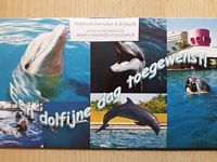Cadeau-envelop 040 Een dolfijne dag toegewenst