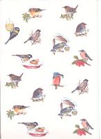 Perga papier/vellum vogels 1741